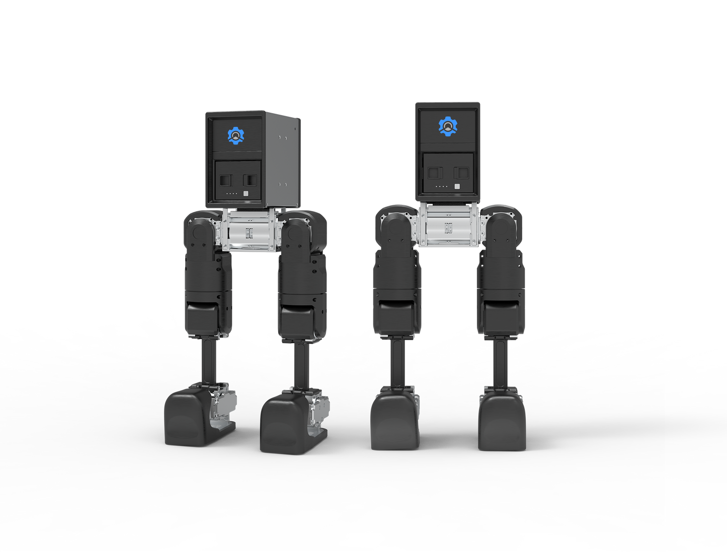 Bipedal robot Mini Pi