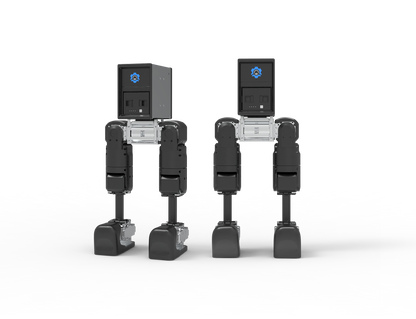 Bipedal robot Mini Pi