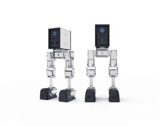 Bipedal robot Mini π